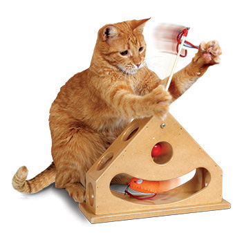 Smart Cat 西洋鐘玩具盒